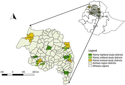 Sero-Epidemiology of Foot and Mouth Disease in Domestic Ruminants in Amhara Region, Ethiopia